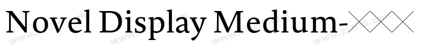 Novel Display Medium字体转换